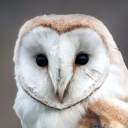 naminglibrary avatar