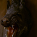 namlessranger avatar