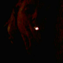 nancy-was-a-seal avatar