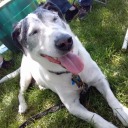 nanditandbellie avatar