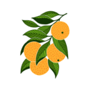 nanna-bananna avatar