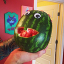 nannerupmysleeve avatar