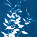 naomi-barrell avatar