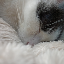 naomisaidow-blog avatar