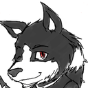 naotawolf avatar