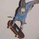 napoleondynamitestatertots avatar