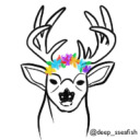 napping-in-the-sun avatar