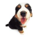 naranjaonline avatar