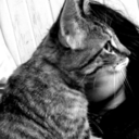 naranjoquepareceazul avatar