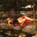 narcissosbythepool avatar