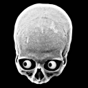 narcpocalypse avatar