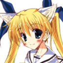 nardi13-blog-blog avatar