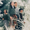 narniaconfession avatar