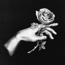 narosaecientspin avatar