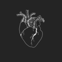 narrative-paranoia avatar