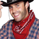 nasacowboy avatar