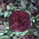 nashobamanawee-blog avatar