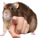 nasticrimeboy avatar