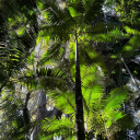 nasty--princess avatar