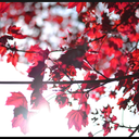 nastyadorable-blog avatar