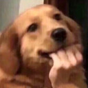 natale-domini avatar