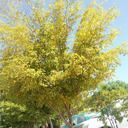 natalia200016 avatar