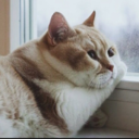 natalieelovee21 avatar