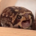 natashaormanoff avatar