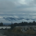 natestarsher55 avatar