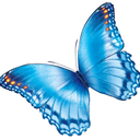 nationwidechildrenshospital avatar