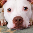 natrilhadomar avatar