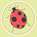 natterbugg-blog avatar