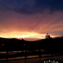 natur3-p0rn-blog avatar