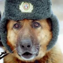 natural-crazy-blog-blog-blog avatar