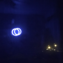 natural-phenomenons avatar