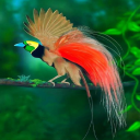 natural-world avatar