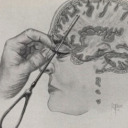 naturalbornkamikazee avatar