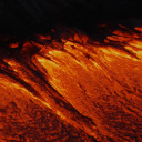 naturallllselection avatar