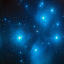 naturallsblog avatar