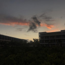 naturally-tori avatar