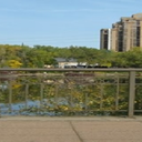 naturalmediaorg-blog avatar