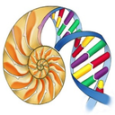 naturamatematica avatar