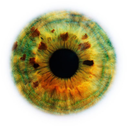 nature-and-grace avatar