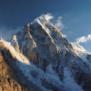 nature-and-happiness avatar