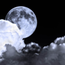 nature-blog-blog avatar