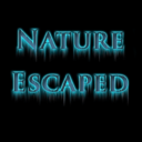 nature-escaped avatar