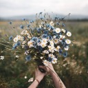 nature-is-my-home avatar