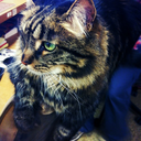 nature-is-nature-blog avatar