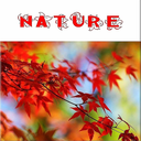 nature-mag avatar