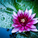 nature-salt-blog avatar